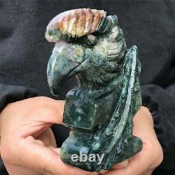 0.67kg Natural ocean jasper Quartz hand Carved eagle skull crystal Reiki xk386