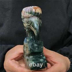 0.67kg Natural ocean jasper Quartz hand Carved eagle skull crystal Reiki xk386