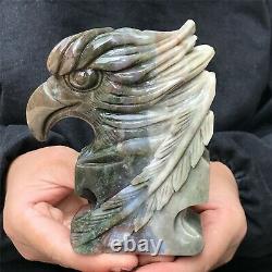 0.74kg Natural ocean jasper Quartz hand Carved eagle skull crystal Reiki xk384