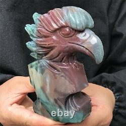 0.74kg Natural ocean jasper Quartz hand Carved eagle skull crystal Reiki xk385