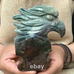 0.75kg Natural ocean jasper Quartz hand Carved eagle skull crystal Reiki xk391