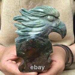 0.75kg Natural ocean jasper Quartz hand Carved eagle skull crystal Reiki xk391