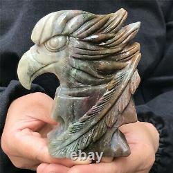 0.76kg Natural ocean jasper Quartz hand Carved eagle skull crystal Reiki xk388