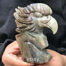 0.76kg Natural ocean jasper Quartz hand Carved eagle skull crystal Reiki xk388