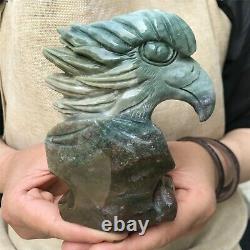 0.76kg Natural ocean jasper Quartz hand Carved eagle skull crystal Reiki xk392
