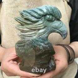 0.76kg Natural ocean jasper Quartz hand Carved eagle skull crystal Reiki xk392