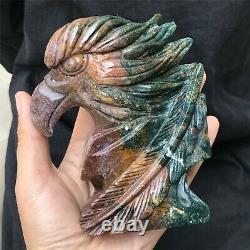 0.77kg Natural ocean jasper Quartz hand Carved eagle skull crystal Reiki xk382