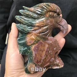 0.77kg Natural ocean jasper Quartz hand Carved eagle skull crystal Reiki xk382