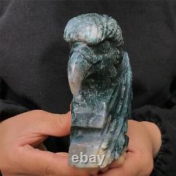 0.77kg Natural ocean jasper Quartz hand Carved eagle skull crystal Reiki xk389