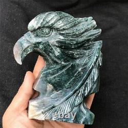 0.77kg Natural ocean jasper Quartz hand Carved eagle skull crystal Reiki xk389