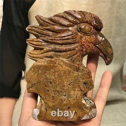 0.77kg Natural ocean jasper Quartz hand Carved eagle skull crystal Reiki xk399