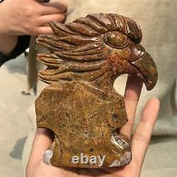 0.77kg Natural ocean jasper Quartz hand Carved eagle skull crystal Reiki xk399