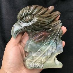 0.79kg Natural ocean jasper Quartz hand Carved eagle skull crystal Reiki xk383