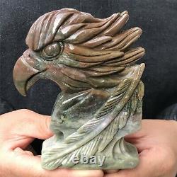 0.79kg Natural ocean jasper Quartz hand Carved eagle skull crystal Reiki xk402
