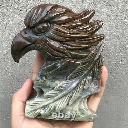 0.79kg Natural ocean jasper Quartz hand Carved eagle skull crystal Reiki xk402