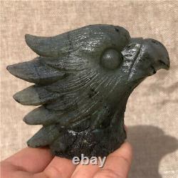 0.7LB Natural labradorite Quartz hand carved crystal eagle head Healing. DK3324