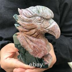 0.82kg Natural ocean jasper Quartz hand Carved eagle skull crystal Reiki xk380