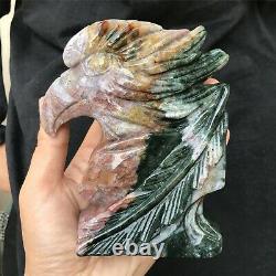 0.82kg Natural ocean jasper Quartz hand Carved eagle skull crystal Reiki xk380