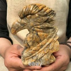 0.84kg Natural Crazy agate Quartz hand Carved eagle skull crystal Reiki xk398