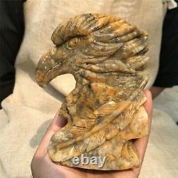 0.84kg Natural Crazy agate Quartz hand Carved eagle skull crystal Reiki xk398