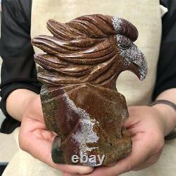 0.84kg Natural ocean jasper Quartz hand Carved eagle skull crystal Reiki xk397