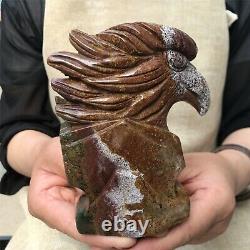 0.84kg Natural ocean jasper Quartz hand Carved eagle skull crystal Reiki xk397
