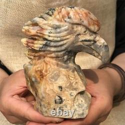 0.8kg Natural Crazy agate Quartz hand Carved eagle skull crystal Reiki xk400