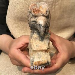 0.8kg Natural Crazy agate Quartz hand Carved eagle skull crystal Reiki xk400