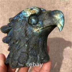 0.96LB Natural Labradorite eagle crystal skull hand carved Healing KD3325-YH