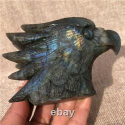 0.96LB Natural Labradorite eagle crystal skull hand carved Healing KD3325-YH