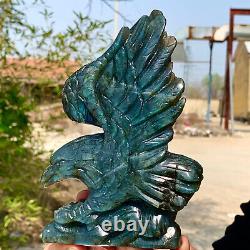 1.07LB Rare natural labradorite crystal hand-carved eagle sculpture cure