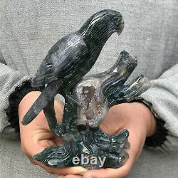 1.12LB Natural Aquatic plant Geode Agate quartz eagle hand Carved healing X1592