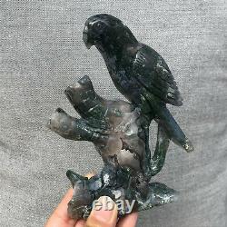 1.12LB Natural Aquatic plant Geode Agate quartz eagle hand Carved healing X1592