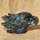 1.12lb Natural Quartz Labradorite Eagle Skull Hand Carved Crystal Healing Ok2183