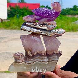 1.13LB Natural Dream Amethyst Hand Carved Eagle Pattern Care