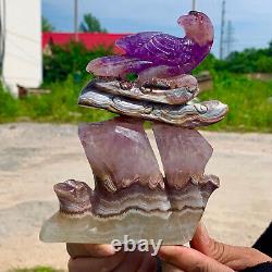1.13LB Natural Dream Amethyst Hand Carved Eagle Pattern Care