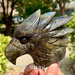 1.21LB Rare natural labradorite crystal hand-carved eagle sculpture cure