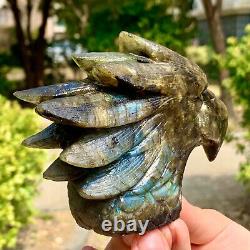 1.21LB Rare natural labradorite crystal hand-carved eagle sculpture cure