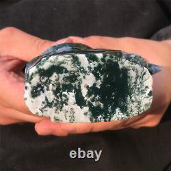1.25LB Natural Aquatic plant Geode Agate quartz eagle skull hand Carved KX1879