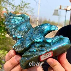 1.25LB Rare natural labradorite crystal hand-carved eagle sculpture cure