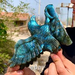 1.25LB Rare natural labradorite crystal hand-carved eagle sculpture cure