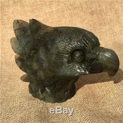 1.29LB Natural Labradorite eagle skull crystal spectrolite hand carved OK2205-4