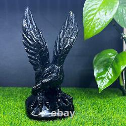 1.35lb Natural Obsidian Quartz Hand Carved Crystal Eagle Skull Reiki Gem Decor