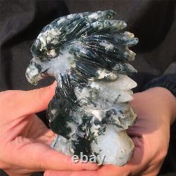 1.36LB Natural Aquatic plant Geode Agate quartz eagle skull hand Carved KX1875