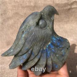 1.36LB Natural labradorite Quartz hand carved crystal eagle head Healing. DK3313