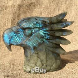 1.38LB Natural Labradorite eagle skull crystal spectrolite hand carved OK2198