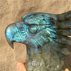 1.38LB Natural Labradorite eagle skull crystal spectrolite hand carved OK2198-1