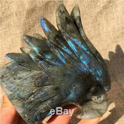1.38LB Natural Labradorite eagle skull crystal spectrolite hand carved OK2198-wh