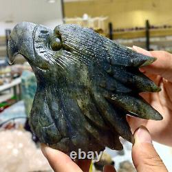 1.38LB Rare natural Labrador crystal hand carved eagle therapy