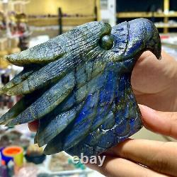 1.38LB Rare natural Labrador crystal hand carved eagle therapy